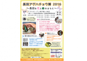 長田アゲハチョウ博