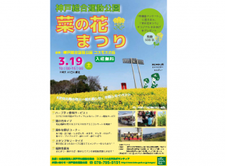 菜の花まつり
